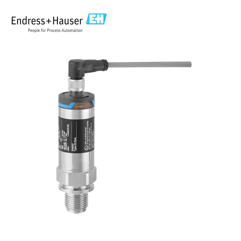Endress Hauser PMP21 Pressure transmitter