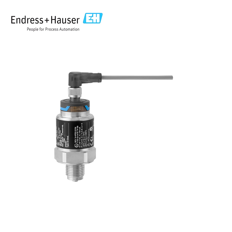 Endress Hauser PMC21 Pressure transmitter