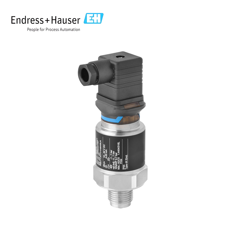 Endress Hauser PMC11 Pressure transmitter